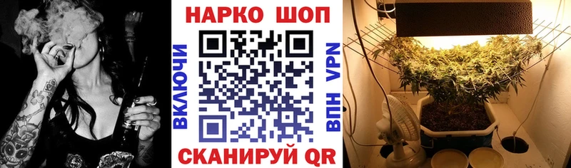 Виды наркоты Стародуб Бошки Шишки  Кокаин  blacksprut зеркало  Мефедрон 