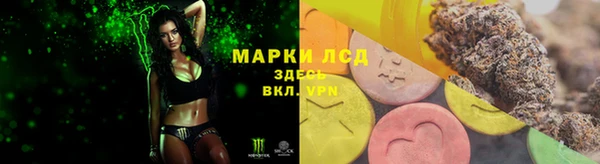 Альфа ПВП Бердск
