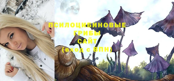 дмт Лиски