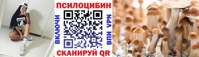 Псилоцибиновые грибы Magic Shrooms  Стародуб 